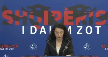 Jola Hysaj, drejtoreshë e AKT/ Ish-sekretarja për marrëdhëniet me publikun e PD merr post pranë qeverisë