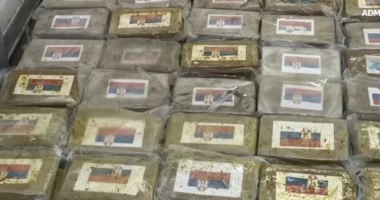 Italia kap rreth 800 kilogramë kokainë, shumica e paketimeve ishin me flamur të Serbisë