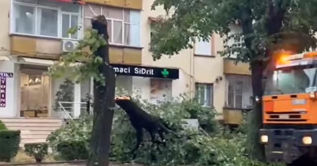 Kapriçot e motit  dëme në disa qarqe  Stuhi në Korçë  Elbasan e Gramsh  rrufeja godet bagëti