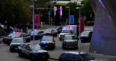 Të shtëna me armë zjarri në një festival në Seattle, dy viktima dhe pesë të plagosur