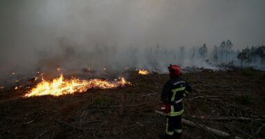 Zjarret/ Gjermania do të dërgojë avionë ushtarakë në Francë
