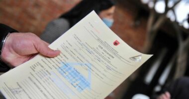 Legalizimet, nis numërimi mbrapsht/ ASHK: Procesi mbyllet në 2028. Ritëm rekord