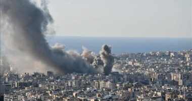 Forcat libaneze çaktivizojnë katër bomba të pashpërthyera në jug të vendit