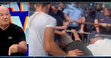 “Policia ka arritur që të neutralizojë agresorin”/ Protestat, Meçe: Është derdhur lek i madh, ‘dirigjenti’ nuk ndodhet në Shqipëri