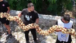 Qepët, sa ura e Mesit/ Postribë, traditë dhe rekord: Vargu 110 metra i gjatë