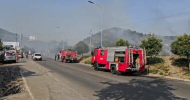 Flakët përfshijnë një sipërfaqe toke në Elbasan, policia dhe zjarrfikësit në terren