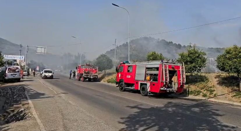 Flakët përfshijnë një sipërfaqe toke në Elbasan  policia dhe zjarrfikësit në terren
