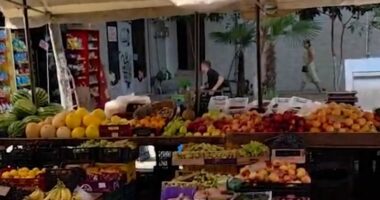 Superprodhimi ul çmimet e perimeve/ Tregjet mbushen me prodhime të Myzeqesë, bie kostoja për konsumatorët