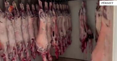 Banesën e kishte kthyer në thertore, mbetjet i hidhte në Vjosë/ Pranga 62-vjeçarit në Përmet, AKU i bllokon aktivitetin