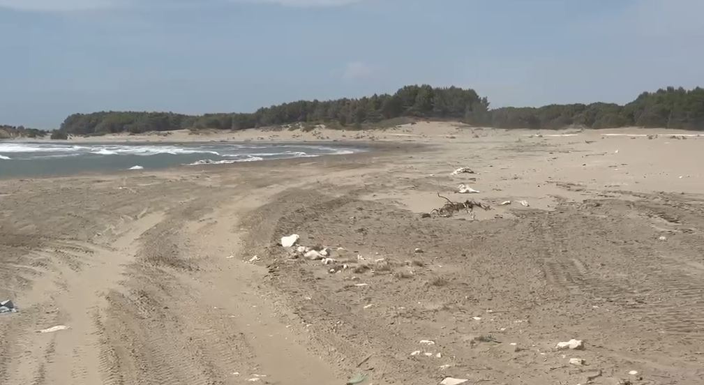 Ishte me pushime me familjen/ Mbytet 29 vjeçarja në Zvërnec