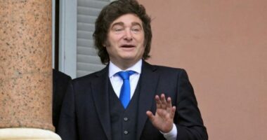 Presidenti Milei: Nuk do të jem në stadium për finalen Spanjë-Argjentinë