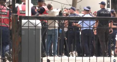 Flamingot u bënë blu/ PD qëndron pas protestës, ja faktet