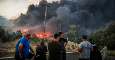 Vihet nën kontroll zjarri pranë Selanikut, tymi i dendur mbulon ende qytetin! Katër zjarrfikës u dërguan në spital