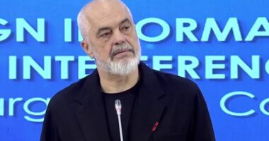 Rama: “Flamingot”, shembull i dezinformimit. Kryeministri: Ecim me vendosmëri drejt fazës finale të anëtarësimit në BE