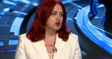 Hoxha: Mbyllja e “Vitës” tregon qasjen e gabuar të qeverisë ndaj bizneseve