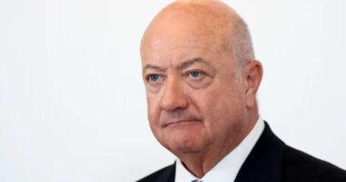 Austria planifikon të zgjasë shërbimin ushtarak në 9 muaj