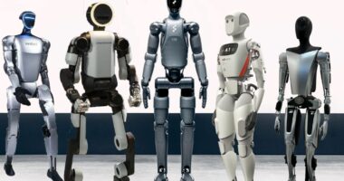 Robotët humanoidë, gara për teknologjinë e së ardhmes