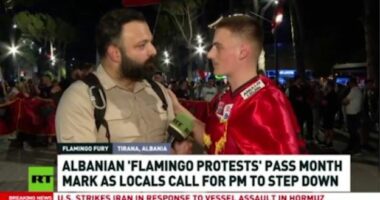 Mediat e Moskës dhe Teheranit raportojnë për “flamingot”