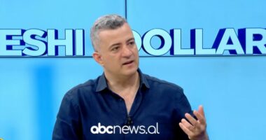 Leku në revansh/ Sefa: Ndërhyrjet e Bankës së Shqipërisë kanë mbajtur kursin stabël