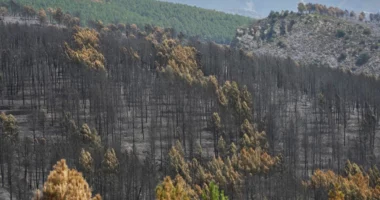 Zjarri në Spanjë përfshin 32 mijë hektarë pyje, evakuohen 34 fshatra