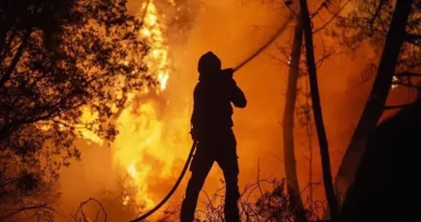 Zjarret në Spanjën qendrore djegin 13 mijë hektarë tokë, evakuohen 800 persona