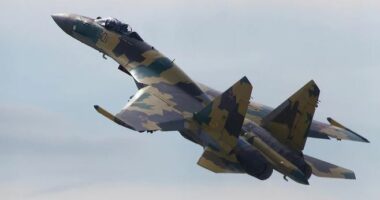 Ukraina publikon pamjet e rrëzimit të aeroplanit luftarak rus Su-35