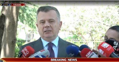 Balla: Dhuna ndaj Policisë, e papranueshme/ Kreu i Grupit të PS: Goditja për shkak të detyrës, vepër penale