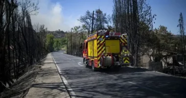 Franca regjistron mbi 12 mijë vatra zjarri në pyje