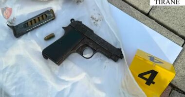 VIDEO/ Dy operacione në 24 orë në Tiranë. Arrestohen 3 persona, sekuestrohen armë e municion