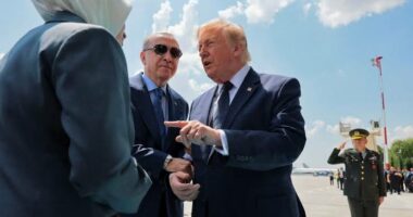 Erdogan pret Trump/ Samiti i NATO-s mbledh liderët e Aleancës në Ankara