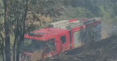 Zjarr në Novoselë të Vlorës/ Flakët përfshijnë barishte e pemë, nuk raportohet për të lënduar