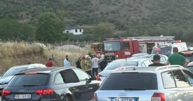 Aksident në Tepelenë, përplasen dy automjete