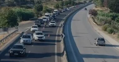 Aksident në Rrogozhinë-Lushnje/ Përplaset 75-vjeçarja, në gjendje të rëndë në spital