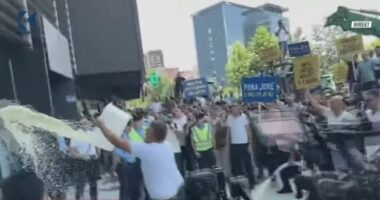 Kosovë/ Fermerët “lajnë” me qumësht ministrinë: Kompania Vita është e Kosovës