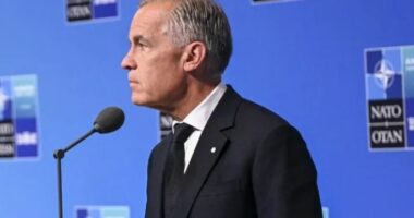 Kanadaja siguron partneritete të reja mbrojtëse në samitin e NATO-s