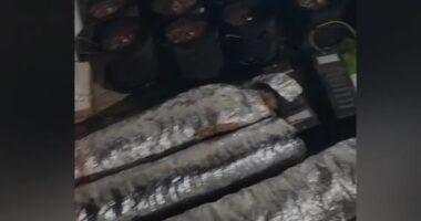 Korçë, policia bën bilancin për periudhën maj-qershor: 65 persona të arrestuar ose ndaluar për vrasje, drogë e vjedhje