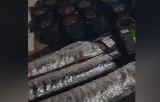 Korçë  policia bën bilancin për periudhën maj qershor  65 persona të arrestuar ose ndaluar për vrasje  drogë e vjedhje