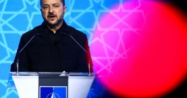 Zelensky bën thirrje nga Ankaraja: Ukraina të anëtarësohet në NATO