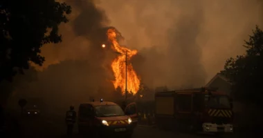 VIDEO/ Zjarret jashtë kontrollit, evakuohen shtatë komuna në Francën jugperëndimore