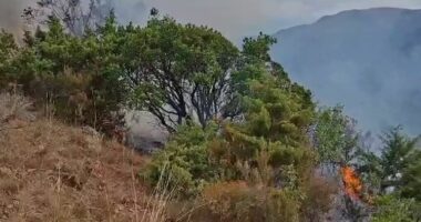 VIDEO/ Zjarri në zonën malore në Mat, zjarrfikësit ndërhyjnë për të shuar flakët