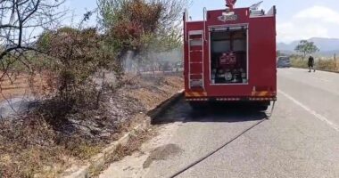 VIDEO/ Zjarri përfshin kodrat e Thumanës, flakët rrezikojnë plantacionin me ullinj