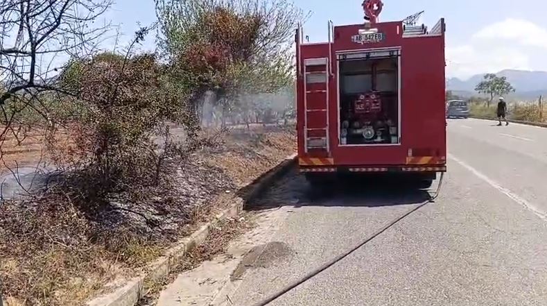 VIDEO  Zjarri përfshin kodrat e Thumanës  flakët rrezikojnë plantacionin me ullinj