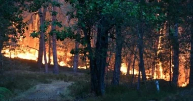 Vazhdojnë përpjekjet për ta shuar zjarrin në pyjet e Francës, arrestohen dy persona