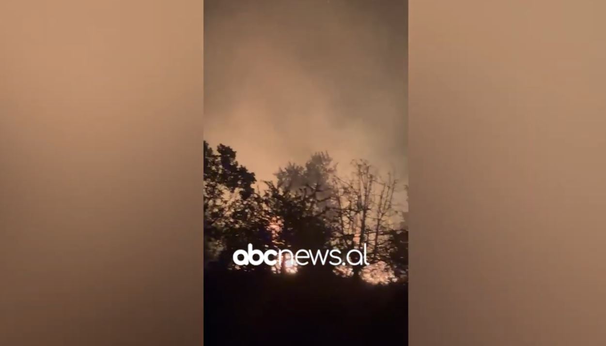 VIDEO  Flakët përfshijnë pyjet në Andon Poçi dhe Hundkuq  angazhohen të gjitha forcat zjarrfikëse