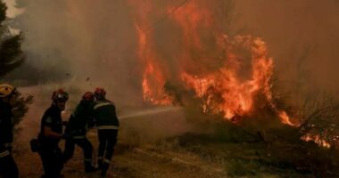 Flakët i marrin jetën 3 zjarrfikësve/ Greqia përballet me zjarre, situata më kritike në Kretë