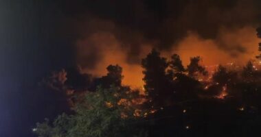 VIDEO/ Zjarr në malin e Shëngjinit, flakët përfshijnë sipërfaqe të konsiderueshme me bimësi, zjarrfikësit në terren