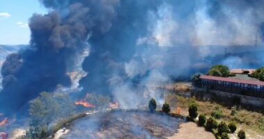 Zjarri pranë fshatit Drizë në Fier vijon të përhapet me shpejtësi, era e fortë vështirëson ndërhyrjen