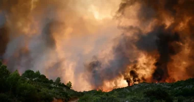 Zjarr masiv në jug të Francës, flakët djegin mbi 800 hektarë tokë