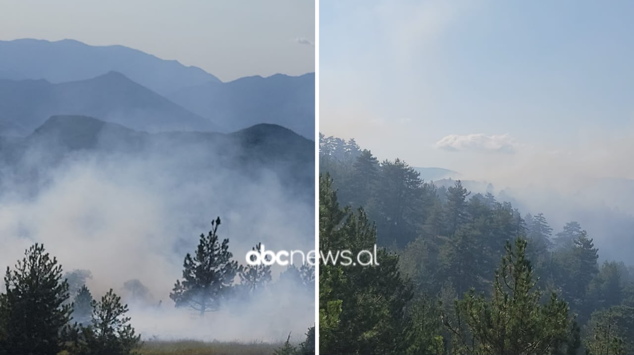 Vihet nën kontroll zjarri në Voskopojë  vijon puna për shuarjen e plotë të vatrave