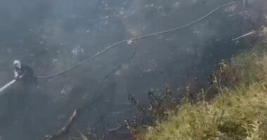 Zjarr në Vlorë, flakët përfshijnë sipërfaqe me bimësi, dyshohet se ishte i qëllimshëm